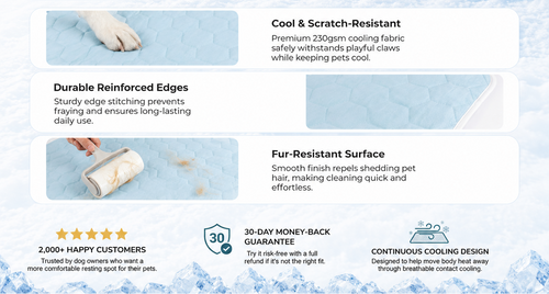 Frosty Pet Cooling Mat